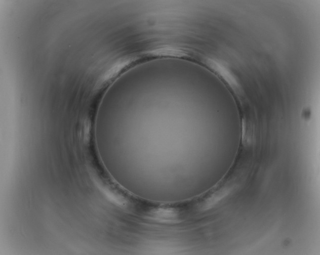 X0000092110157200709191335