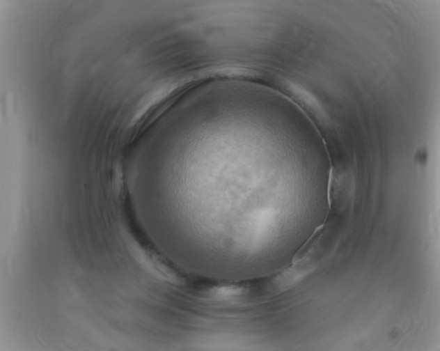 X0000092110158200709191335