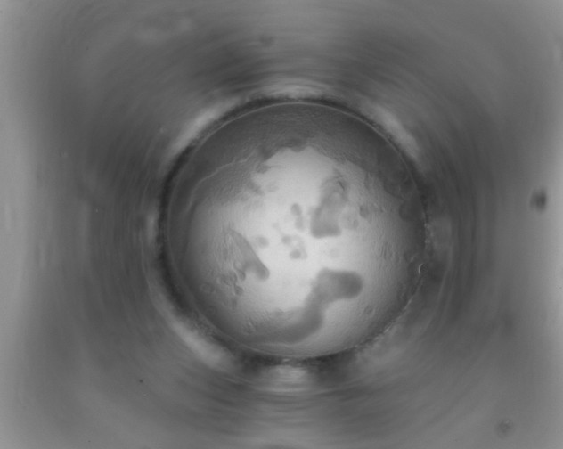 X0000092110159200709191335