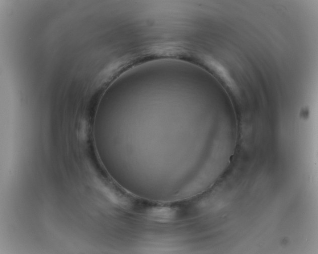 X0000092110161200709191335