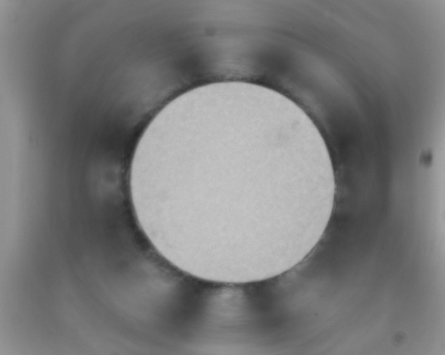 X0000092110162200709191335