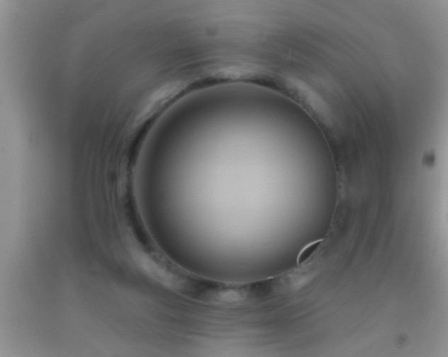 X0000092110163200709191335