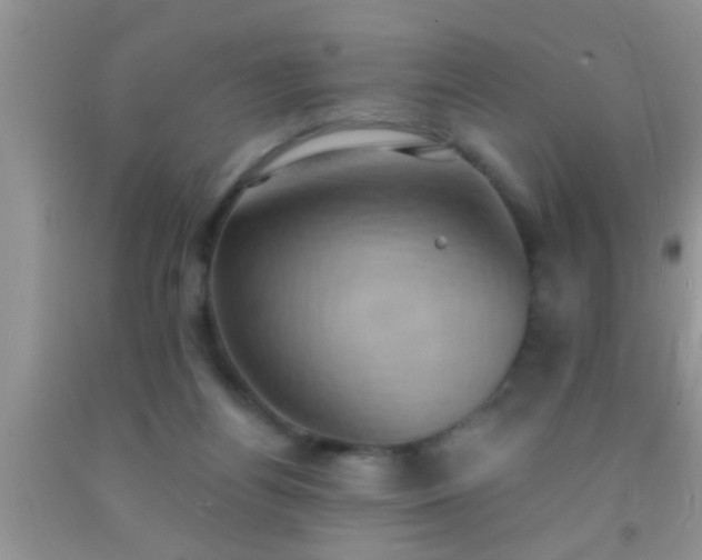 X0000092110164200709191335