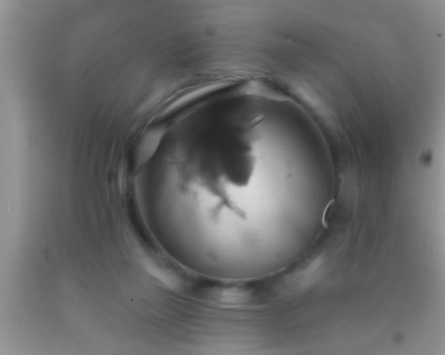 X0000092110165200709191335