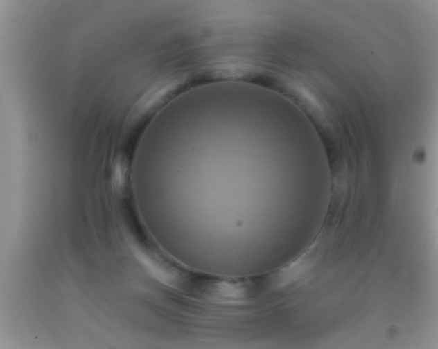 X0000092110166200709191335