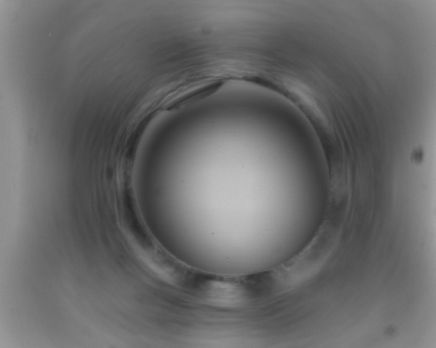 X0000092110167200709191335