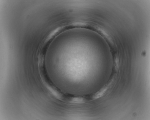 X0000092110168200709191335