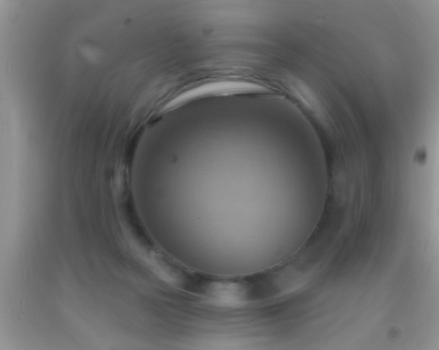 X0000092110169200709191335