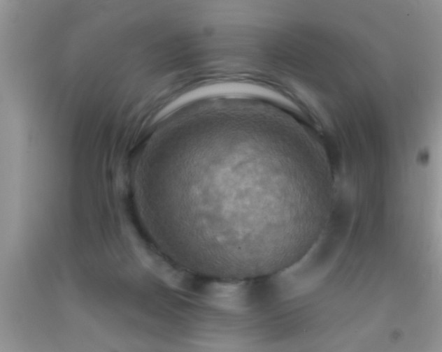 X0000092110170200709191335