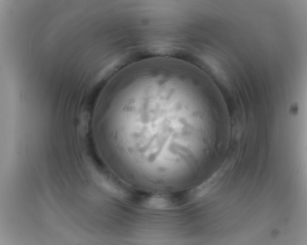 X0000092110171200709191335