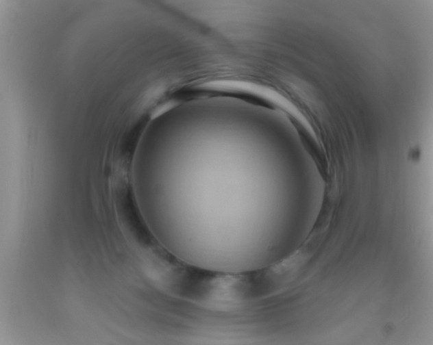 X0000092110172200709191335