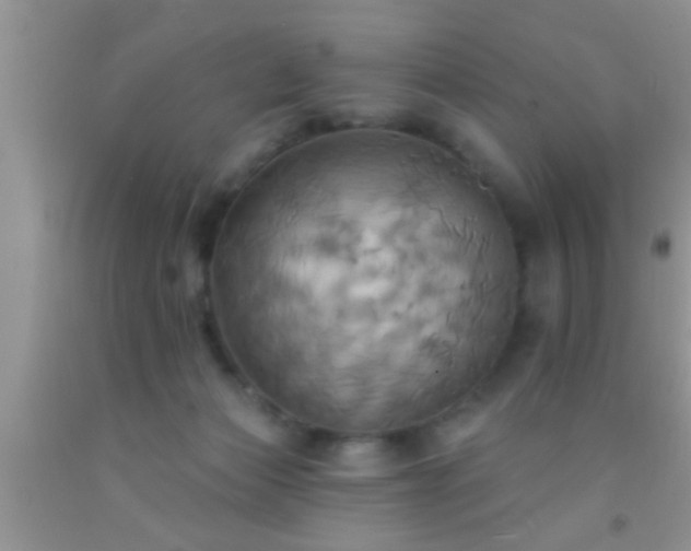 X0000092110173200709191335