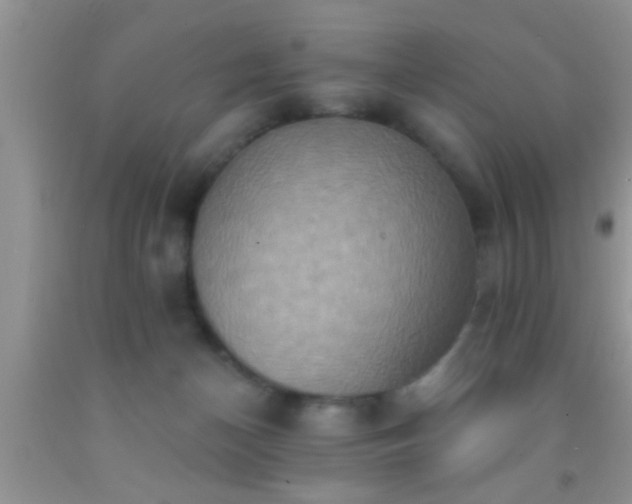 X0000092110174200709191335