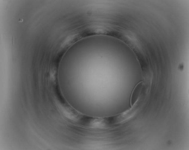 X0000092110175200709191335