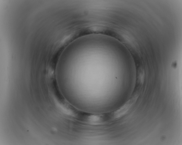 X0000092110176200709191335