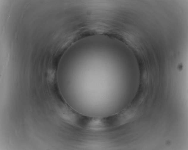 X0000092110177200709191335