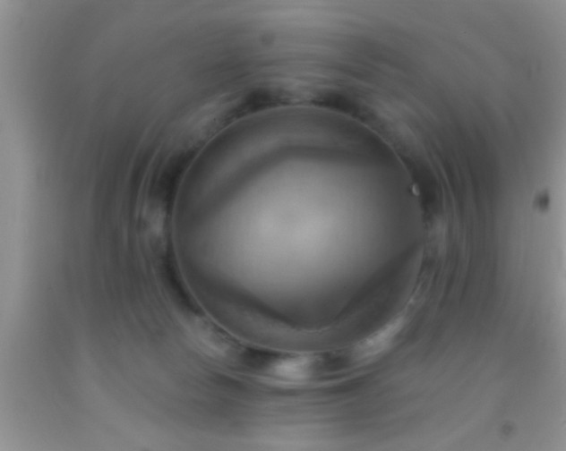 X0000092110178200709191335