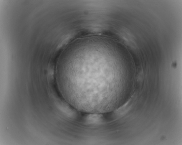 X0000092110179200709191335