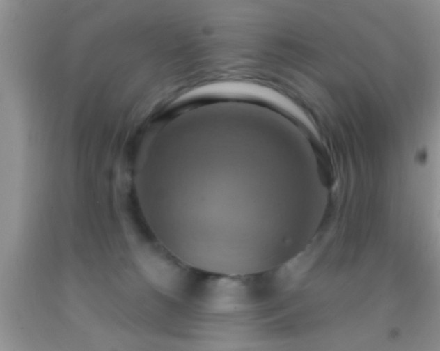 X0000092110180200709191335