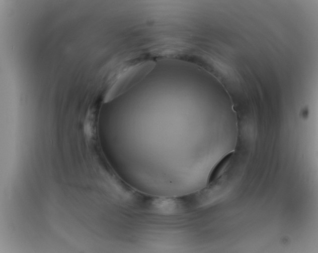 X0000092110181200709191335