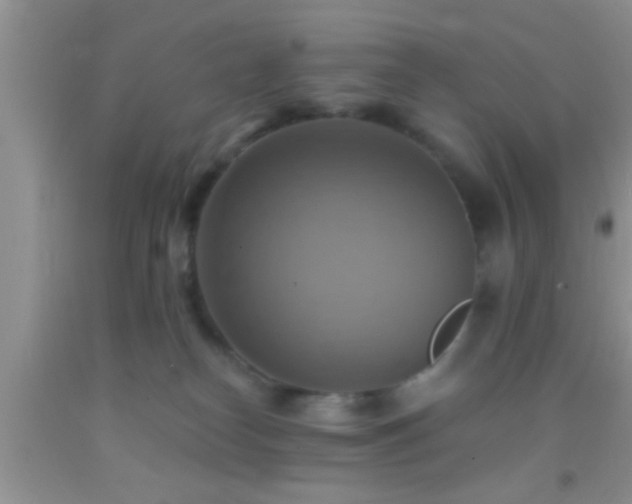 X0000092110182200709191335