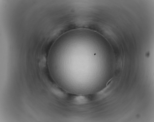 X0000092110183200709191335