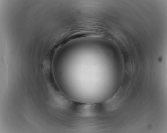 X0000092110184200709191335