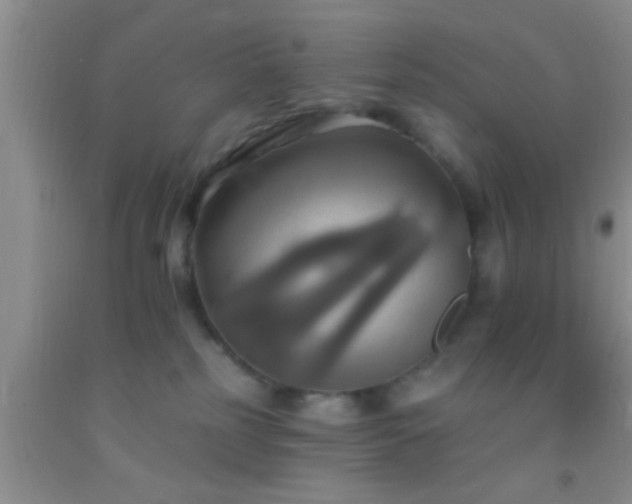 X0000092110185200709191335