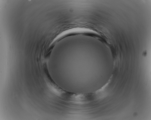 X0000092110186200709191335