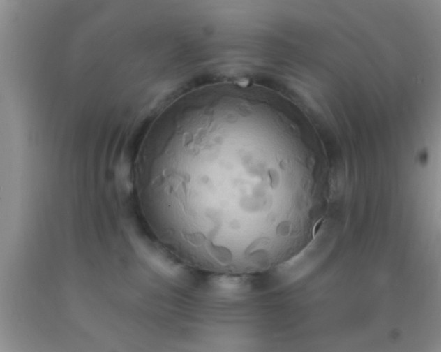 X0000092110187200709191335