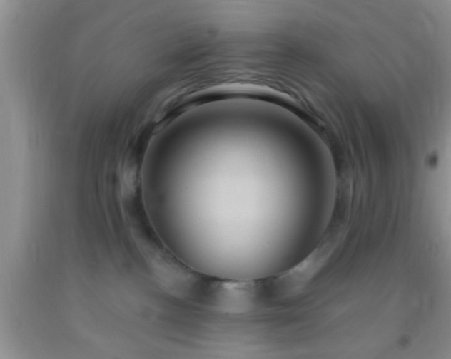 X0000092110188200709191335