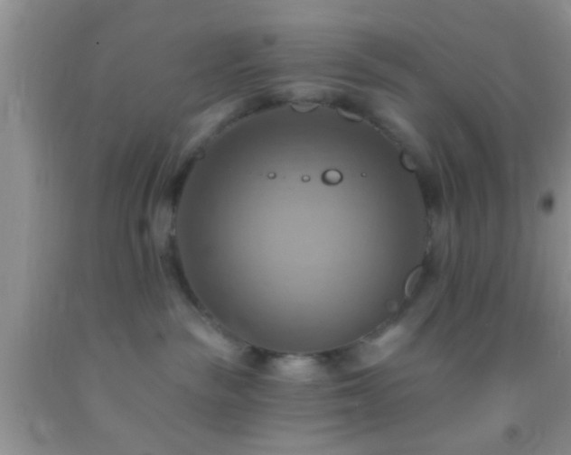 X0000092110189200709191336