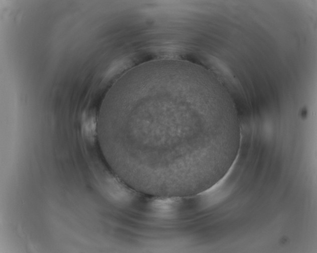 X0000092110190200709191336