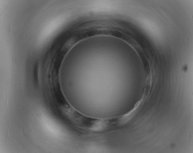 X0000092110191200709191336