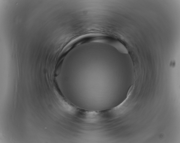 X0000092110192200709191336