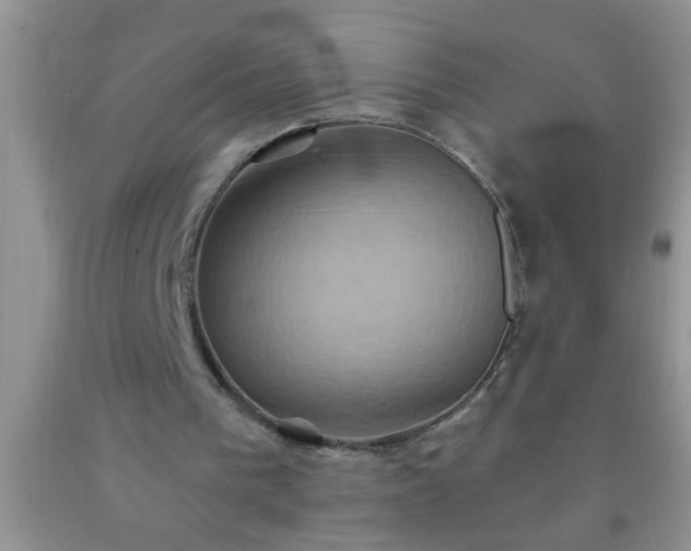 X0000092110193200709191335