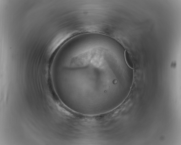 X0000092110194200709191335