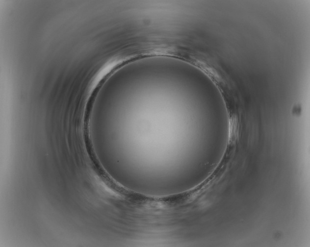 X0000092110195200709191335