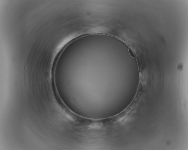 X0000092110196200709191335