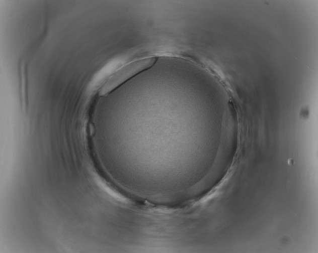 X0000092110197200709191335