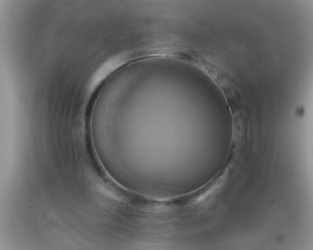 X0000092110198200709191335