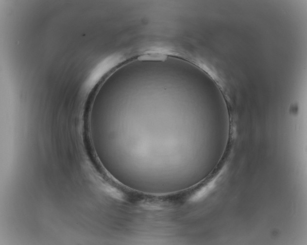 X0000092110199200709191335