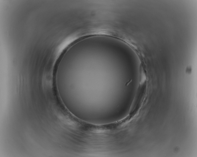 X0000092110200200709191335