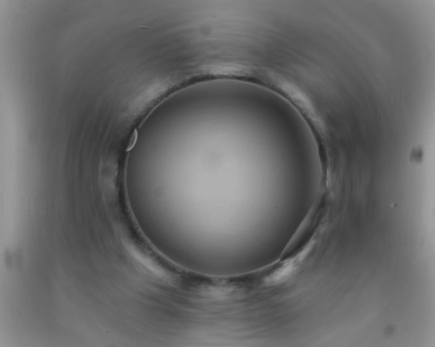 X0000092110201200709191335