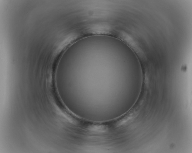 X0000092110202200709191335