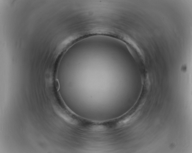 X0000092110203200709191335