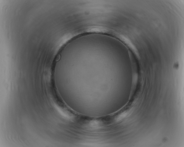 X0000092110204200709191335