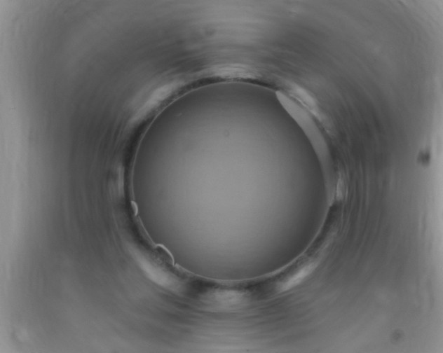 X0000092110205200709191335