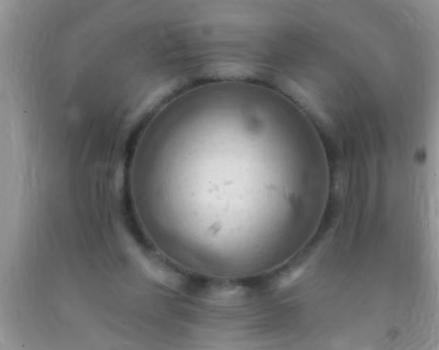 X0000092110206200709191335