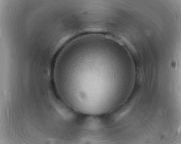 X0000092110207200709191335